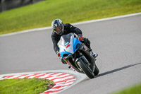 Oulton-Park-21st-March-2020;PJ-Motorsport-Photography-2020;anglesey;brands-hatch;cadwell-park;croft;donington-park;enduro-digital-images;event-digital-images;eventdigitalimages;mallory;no-limits;oulton-park;peter-wileman-photography;racing-digital-images;silverstone;snetterton;trackday-digital-images;trackday-photos;vmcc-banbury-run;welsh-2-day-enduro